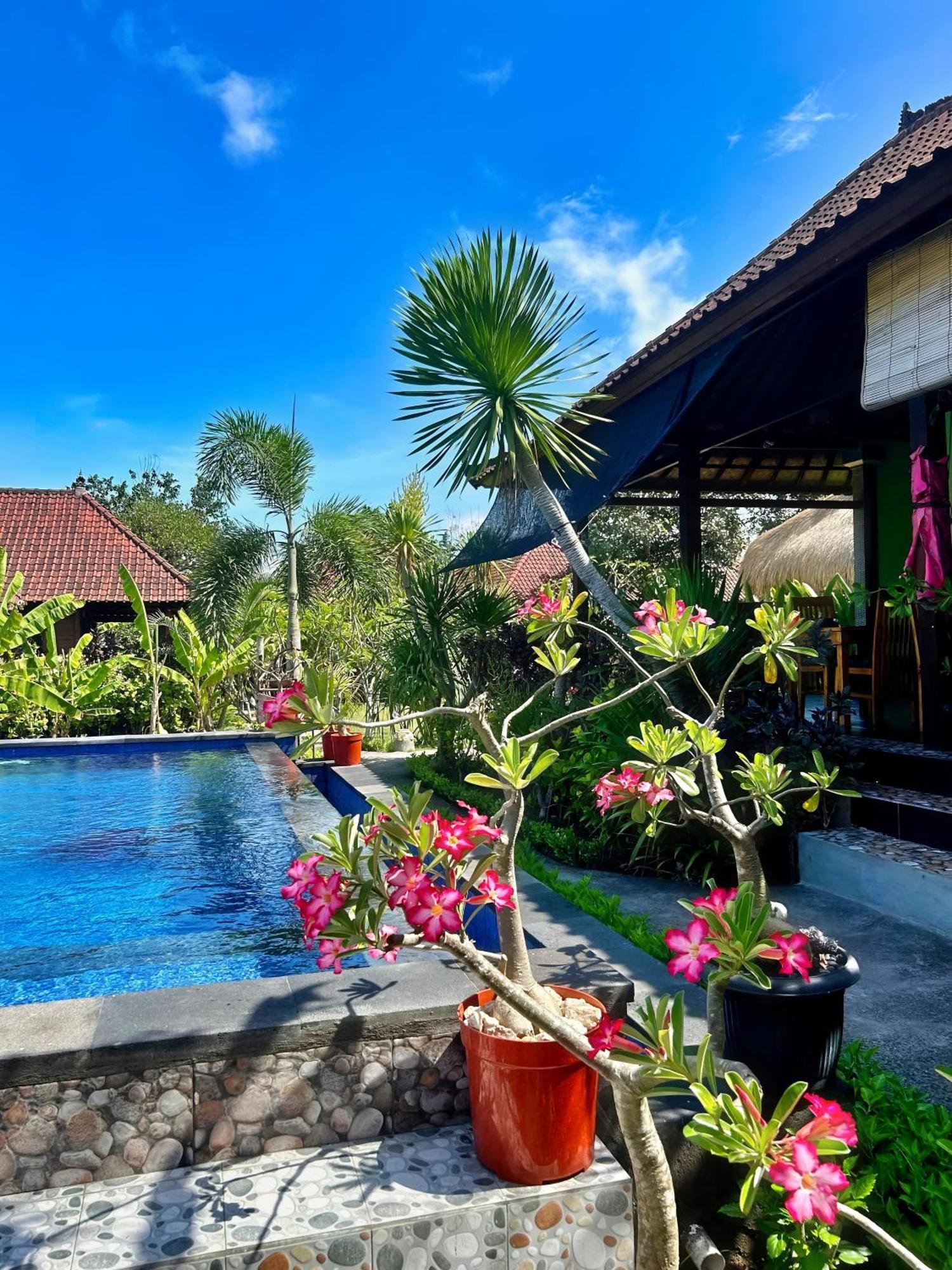 Bed and Breakfast Island Garden Huts Lembongan Esterno foto