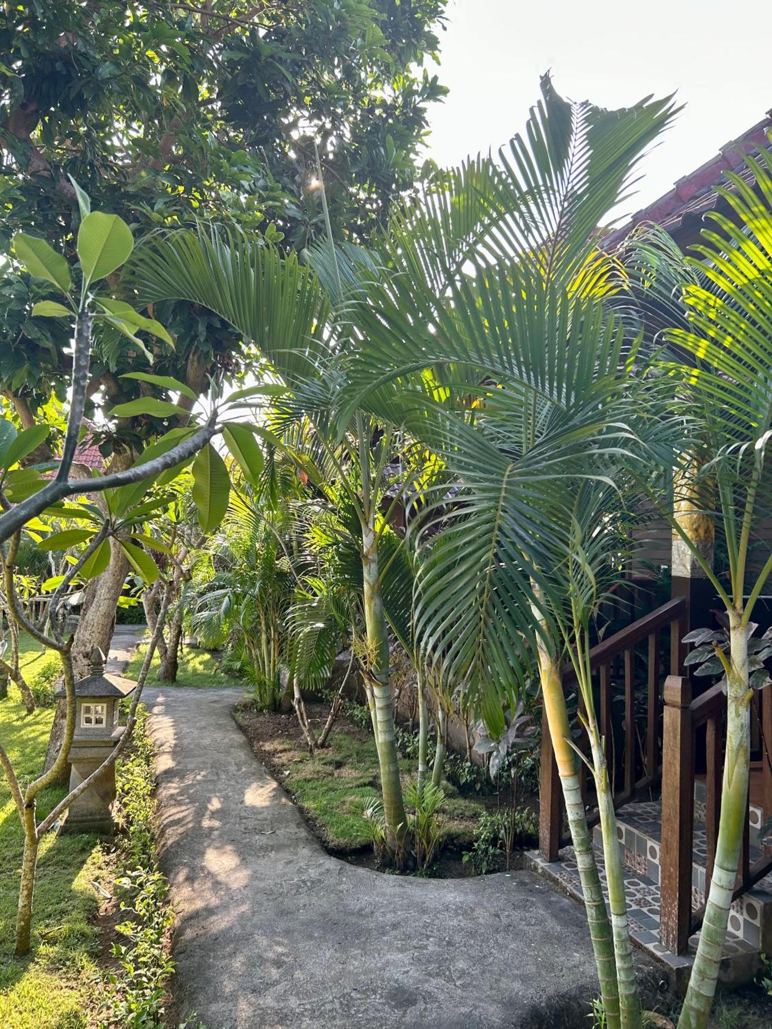 Bed and Breakfast Island Garden Huts Lembongan Esterno foto