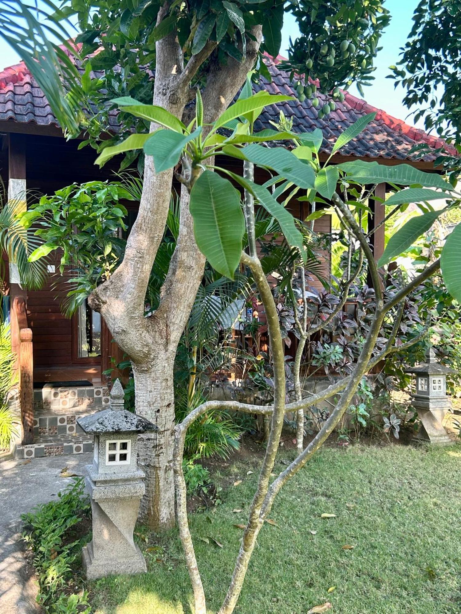 Bed and Breakfast Island Garden Huts Lembongan Esterno foto