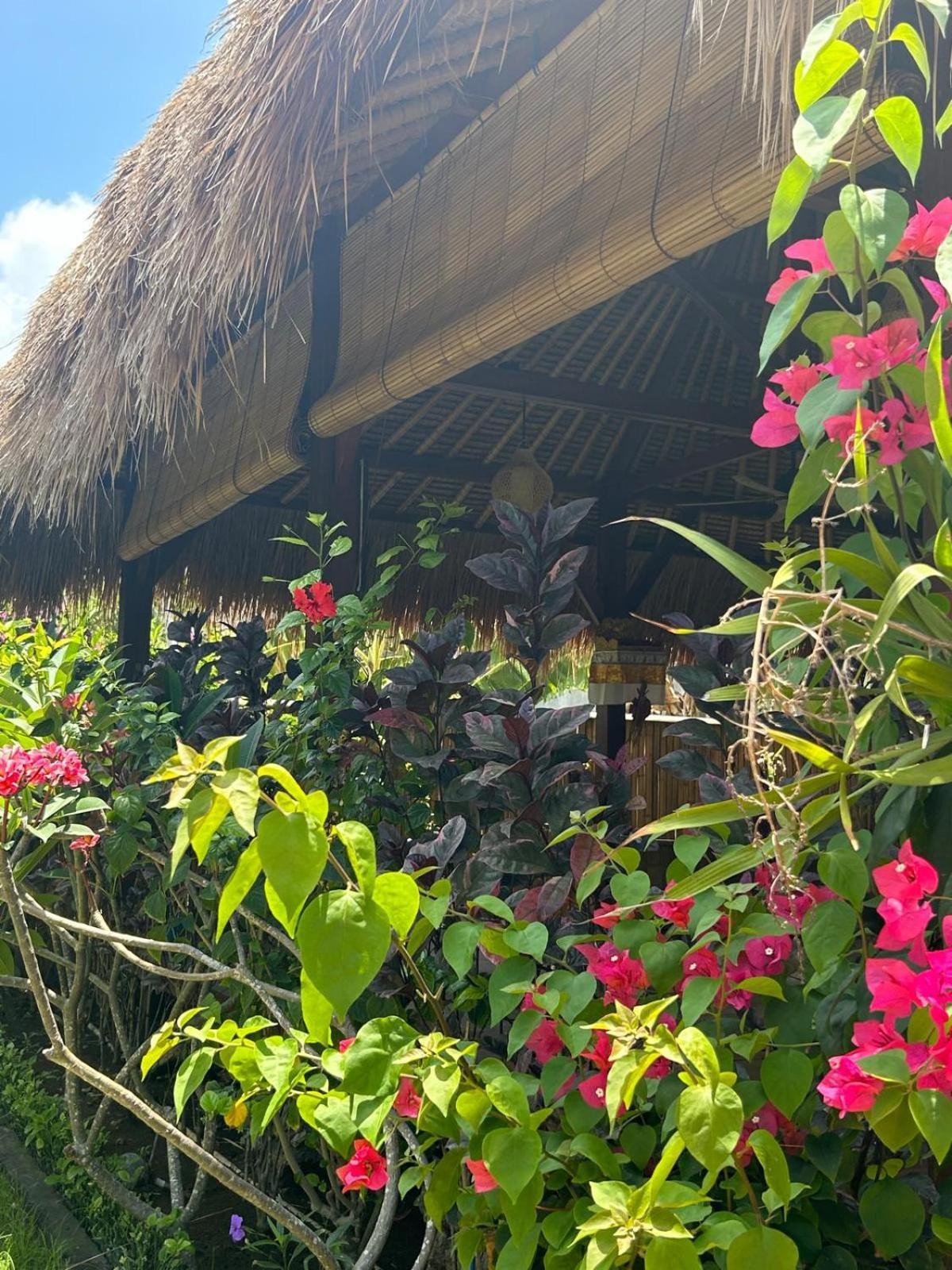 Bed and Breakfast Island Garden Huts Lembongan Esterno foto