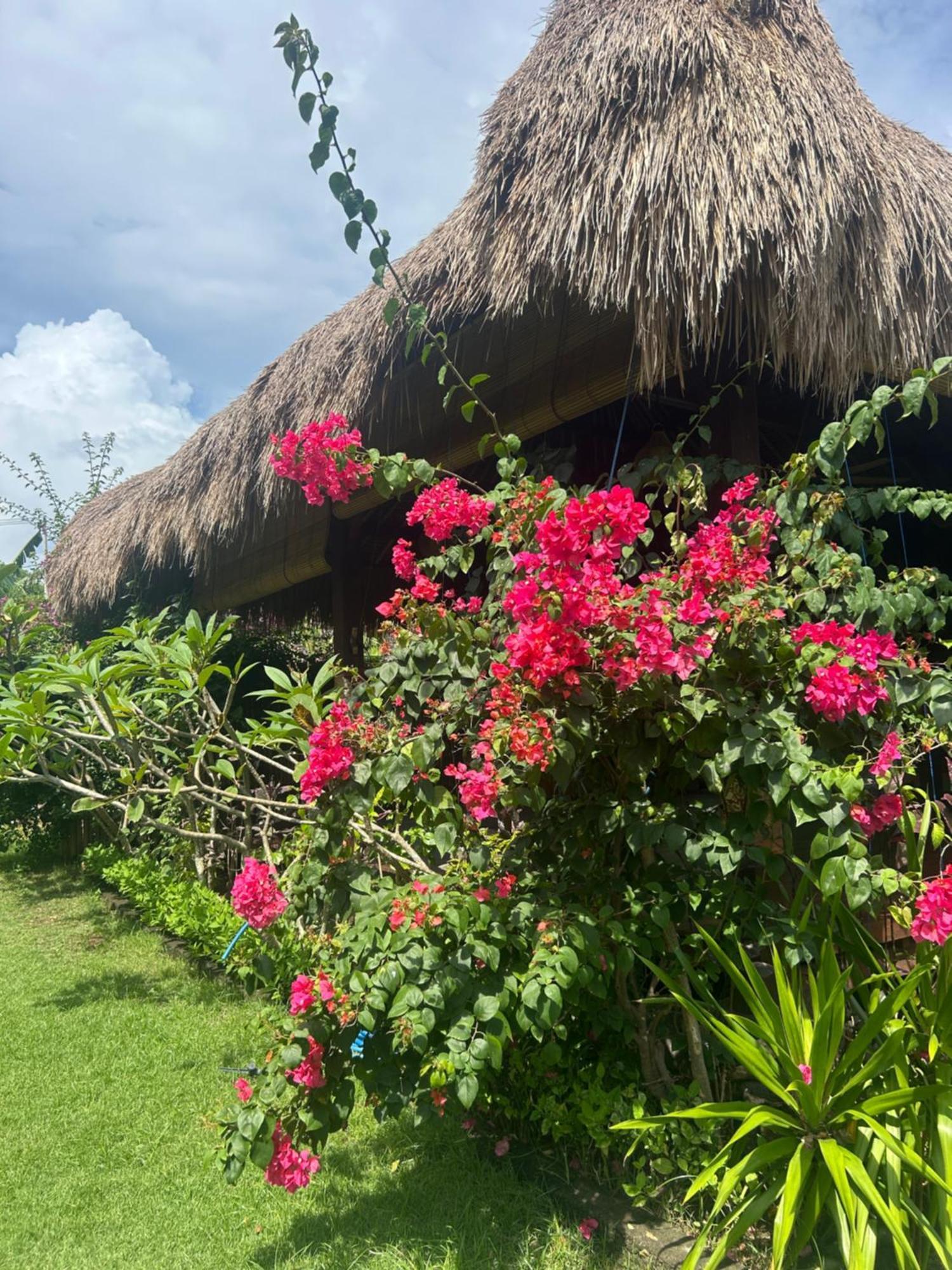 Bed and Breakfast Island Garden Huts Lembongan Esterno foto